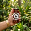 Hand holding Andhra Store Mutton Pickle jar outdoors — authentic homemade pickle